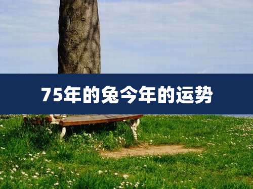 75年的兔今年的运势