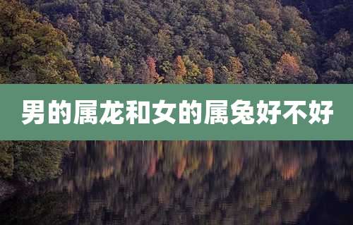 男的属龙和女的属兔好不好