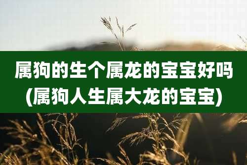 属狗的生个属龙的宝宝好吗(属狗人生属大龙的宝宝)