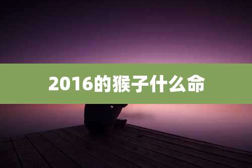 2016的猴子什么命