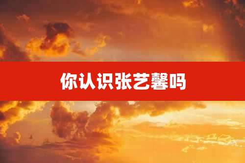 你认识张艺馨吗