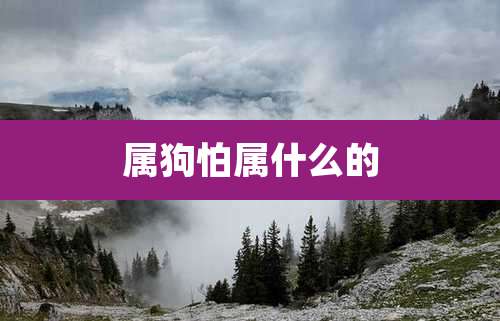 属狗怕属什么的