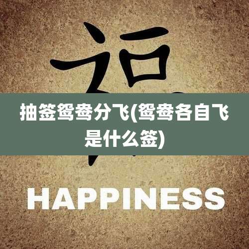 抽签鸳鸯分飞(鸳鸯各自飞是什么签)