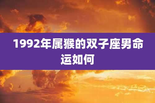 1992年属猴的双子座男命运如何