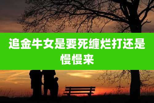 追金牛女是要死缠烂打还是慢慢来