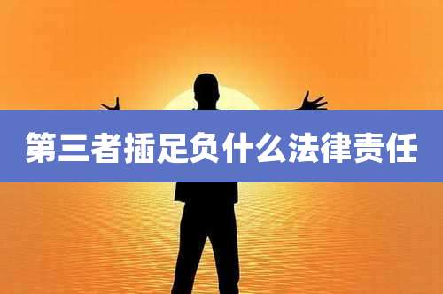 第三者插足负什么法律责任