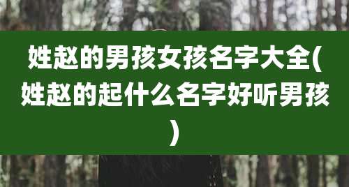 姓赵的男孩女孩名字大全(姓赵的起什么名字好听男孩)