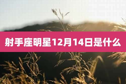 射手座明星12月14日是什么