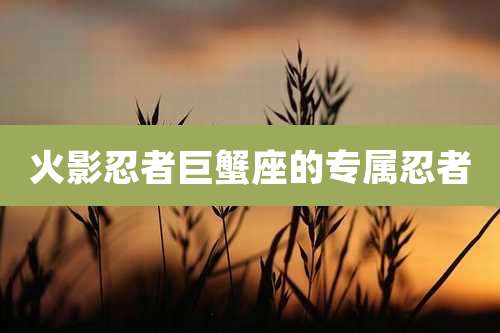 火影忍者巨蟹座的专属忍者