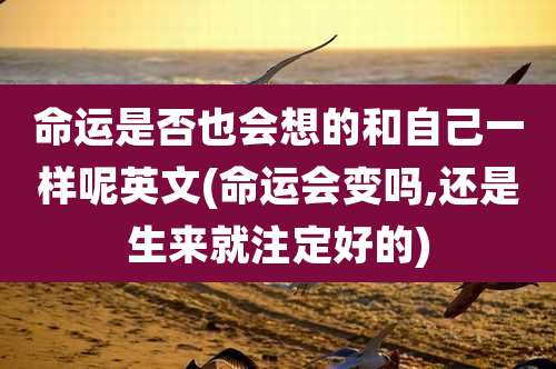 命运是否也会想的和自己一样呢英文(命运会变吗,还是生来就注定好的)