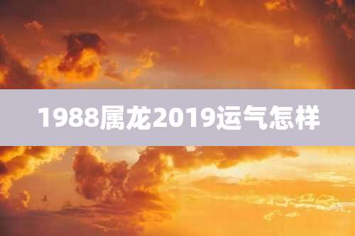 1988属龙2019运气怎样