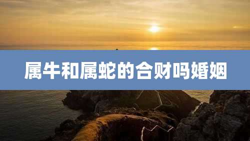 属牛和属蛇的合财吗婚姻