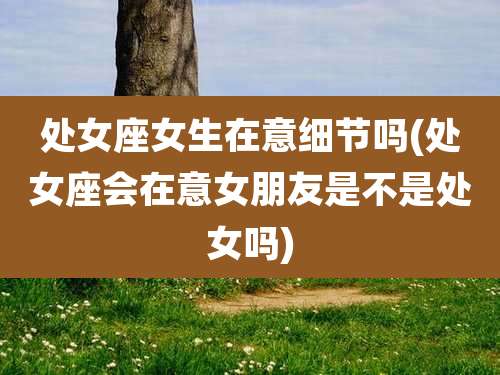 处女座女生在意细节吗(处女座会在意女朋友是不是处女吗)