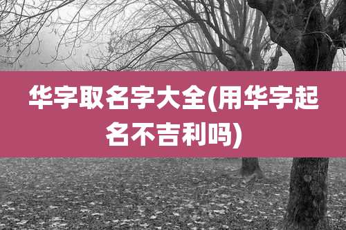 华字取名字大全(用华字起名不吉利吗)