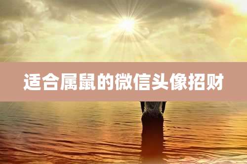 适合属鼠的微信头像招财