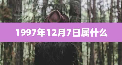 1997年12月7日属什么