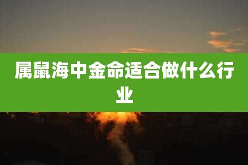 属鼠海中金命适合做什么行业