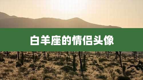 白羊座的情侣头像