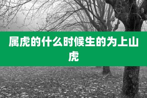 属虎的什么时候生的为上山虎