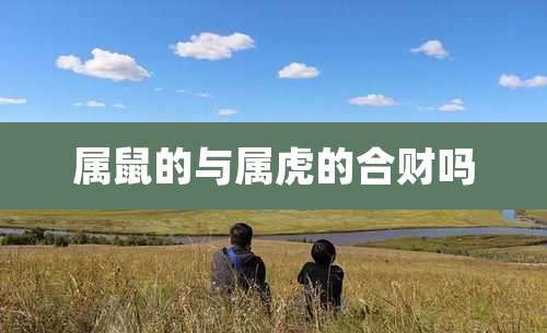 属鼠的与属虎的合财吗