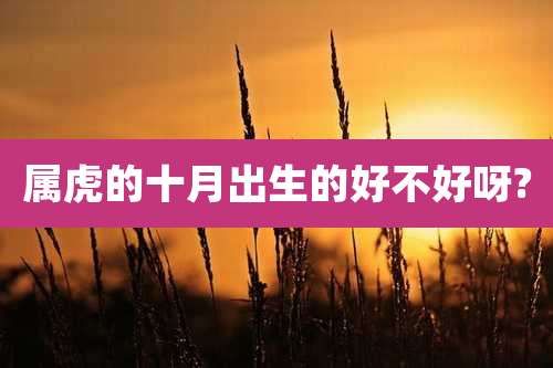 属虎的十月出生的好不好呀?