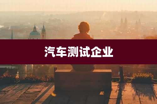 汽车测试企业