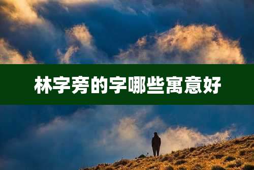 林字旁的字哪些寓意好