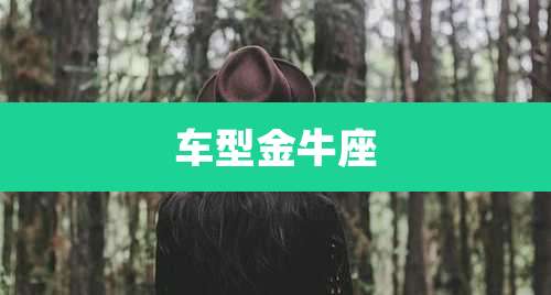 车型金牛座