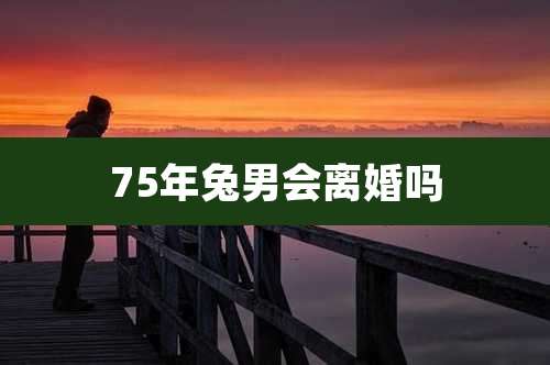 75年兔男会离婚吗