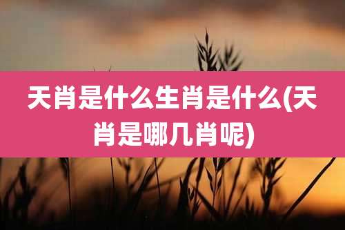 天肖是什么生肖是什么(天肖是哪几肖呢)