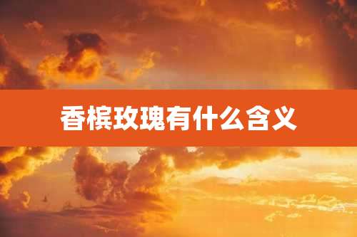 香槟玫瑰有什么含义