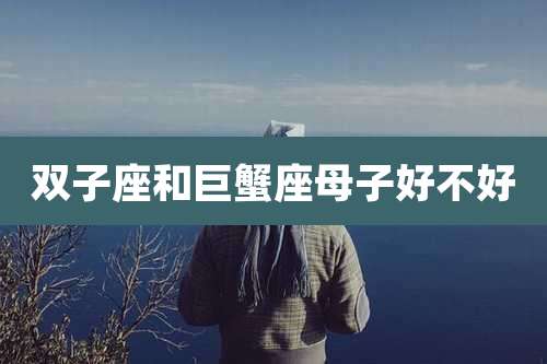 双子座和巨蟹座母子好不好