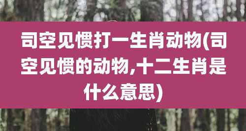 司空见惯打一生肖动物(司空见惯的动物,十二生肖是什么意思)