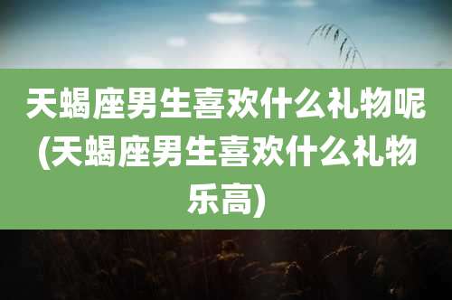 天蝎座男生喜欢什么礼物呢(天蝎座男生喜欢什么礼物乐高)