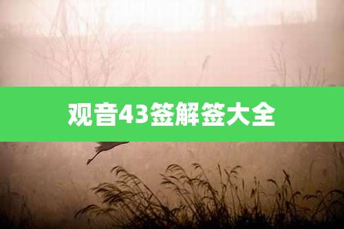 观音43签解签大全