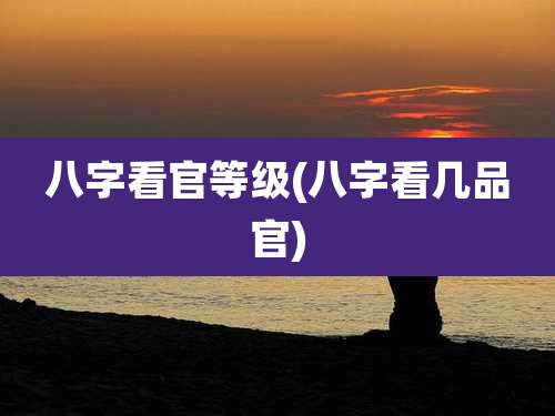 八字看官等级(八字看几品官)
