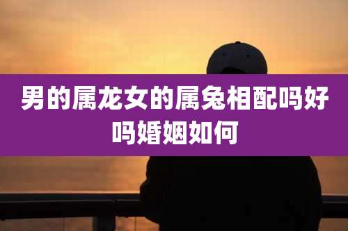 男的属龙女的属兔相配吗好吗婚姻如何