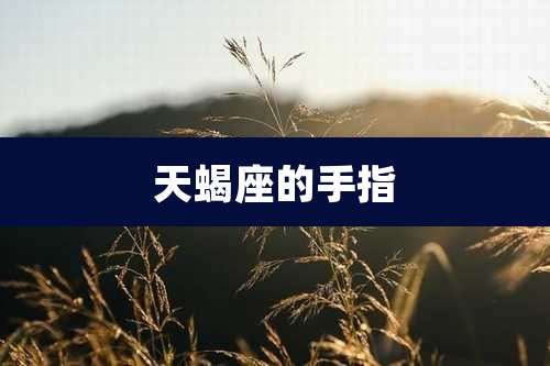 天蝎座的手指