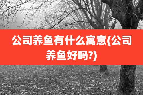 公司养鱼有什么寓意(公司养鱼好吗?)