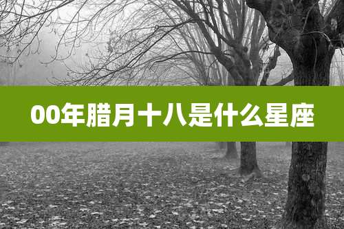 00年腊月十八是什么星座