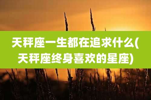 天秤座一生都在追求什么(天秤座终身喜欢的星座)