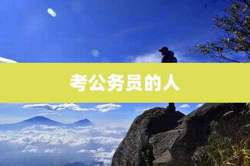 考公务员的人