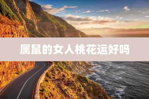 属鼠的女人桃花运好吗