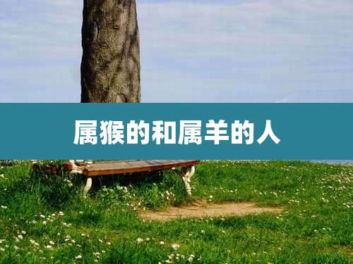 属猴的和属羊的人