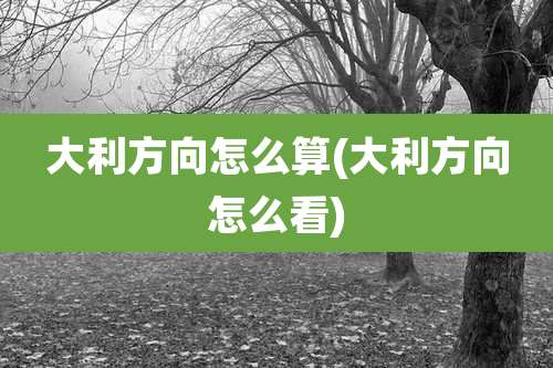 大利方向怎么算(大利方向怎么看)