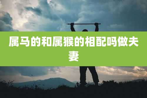 属马的和属猴的相配吗做夫妻