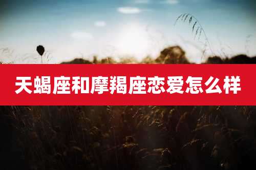 天蝎座和摩羯座恋爱怎么样