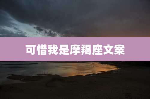 可惜我是摩羯座文案