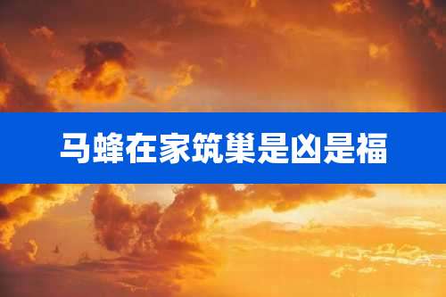 马蜂在家筑巢是凶是福