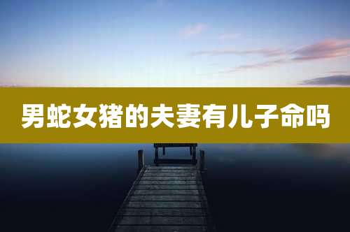 男蛇女猪的夫妻有儿子命吗